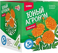 Юный агроном "Бархатцы", "Подсолнечник", "Незабудка","Календула","Астра", "Хризантема", "Целозия"